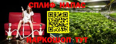 не бодяженный Славгород