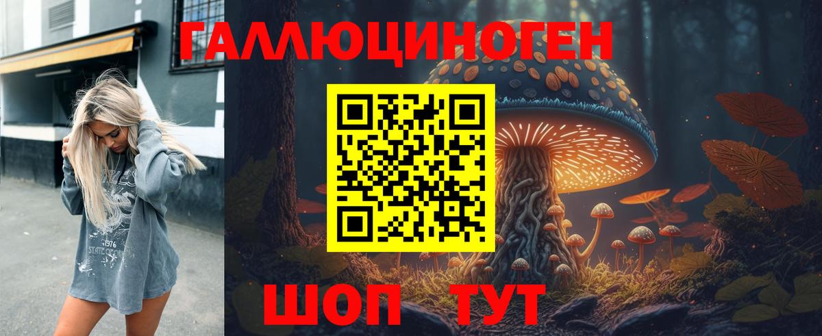 Псилоцибиновые грибы Cubensis  Вход с VPN  Псилоцибиновые грибы Cubensis  продажа наркотиков  Бердск 
