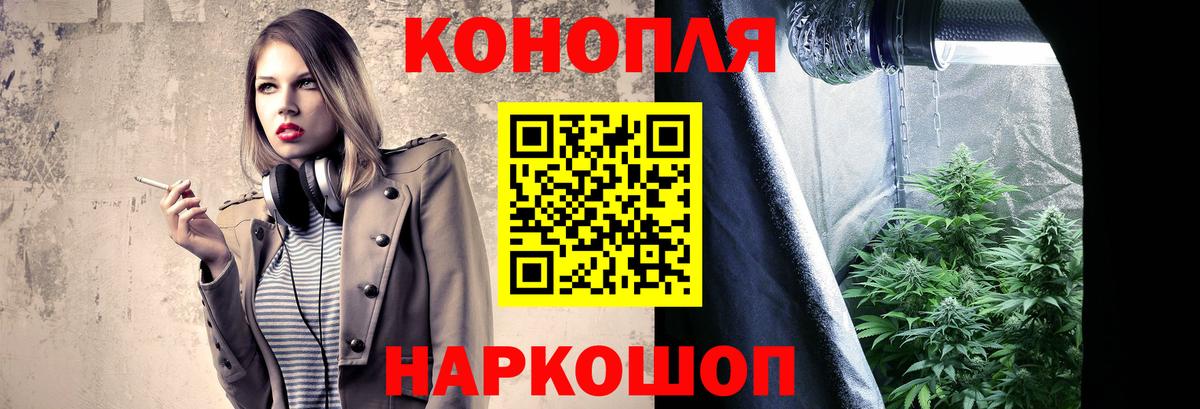 Бошки Шишки гибрид Бердск